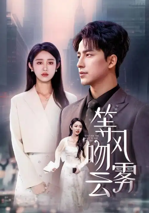 风骚律师